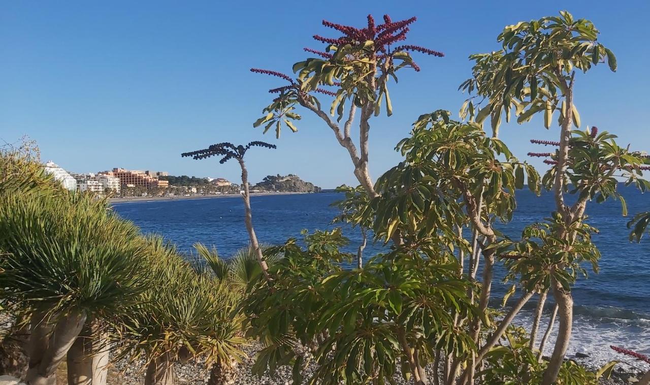 Apartament Rincon De Mar Almuñécar Zewnętrze zdjęcie